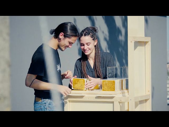 See-Through Urban Beehives | The Henry Ford’s Innovation Nation