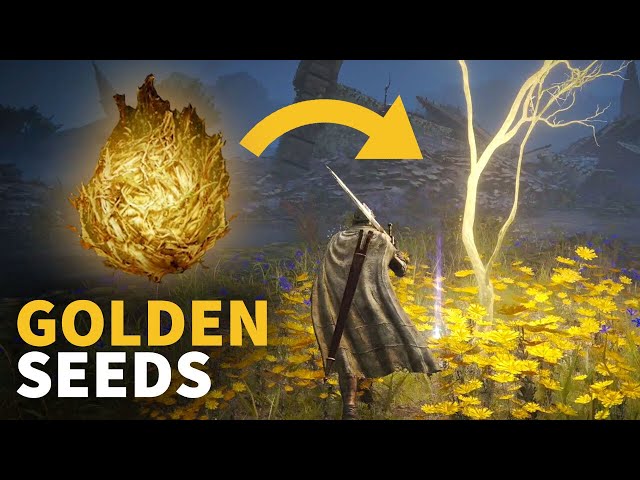 Elden Ring Golden Seeds Guide: Where to Find 25