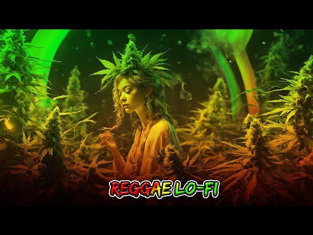 Reggae Lofi Escapes Journey into Calmness and Inner Peace 2024