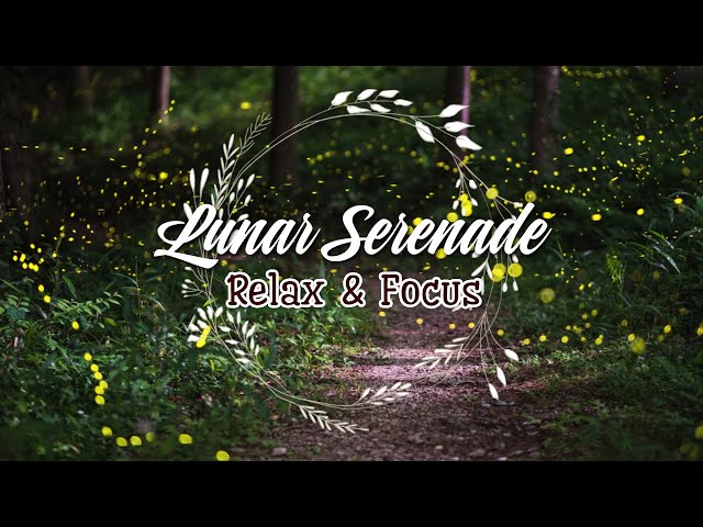 Lunar Serenade 🎶 Piano Relax Music