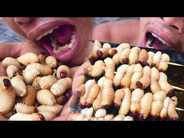 Primitive Culture: Survival Cooking Coconut Worms on a Rock for Lunch in the Forest