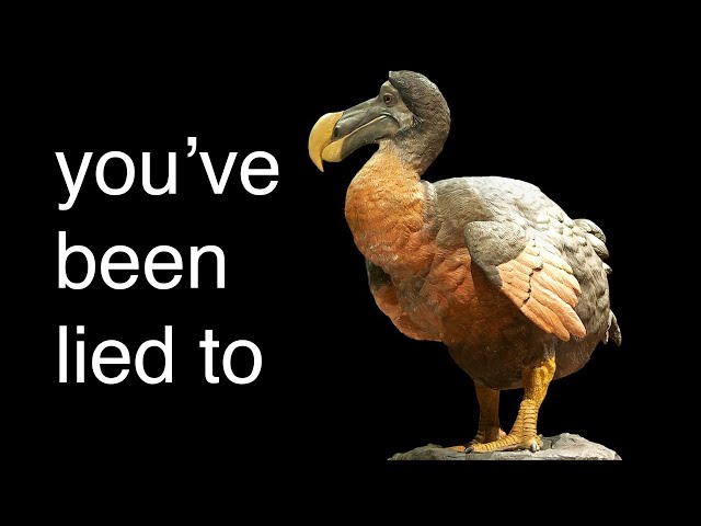 The REAL reason The Dodo Went Extinct