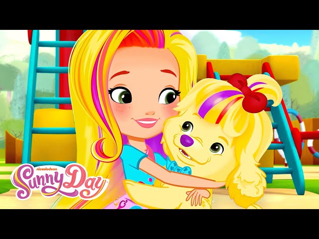 Sunny and Doodle Race to the Dog Show Finish Line! | Shimmer and Shine