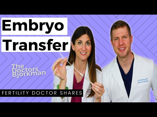 Embryo Transfer: IVF Doctor Explains What to Expect + Gives You an Inside Look at Her Transfer