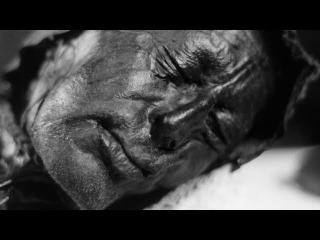 Bog Bodies Are Real. Here's What You Should Know