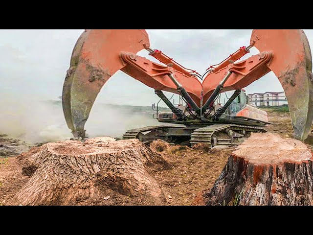 Extreme Dangerous Big Stump Ripper Machine Working, Fastest Stump Removal Destroy Grinding Equipment