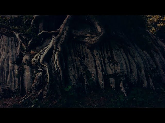 Gealdýr - Yggdrasill (Official Music Video)