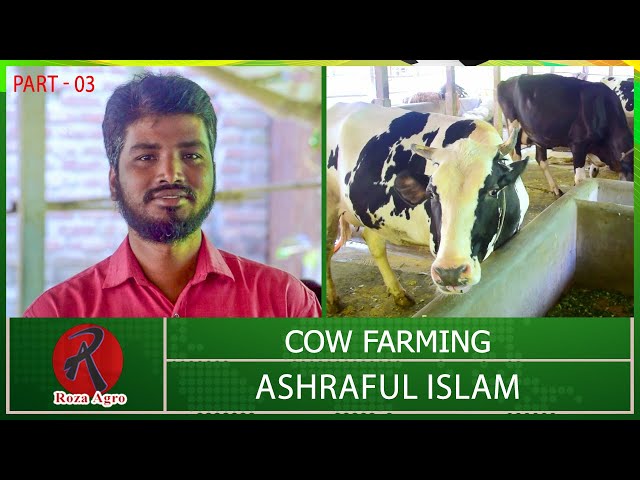 Cow Farming By Ashraful Islam - Part 03 | Cow Farming | Roza Agro Farm