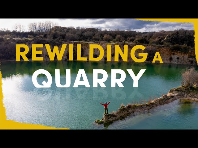 We are rewilding a quarry - here’s why