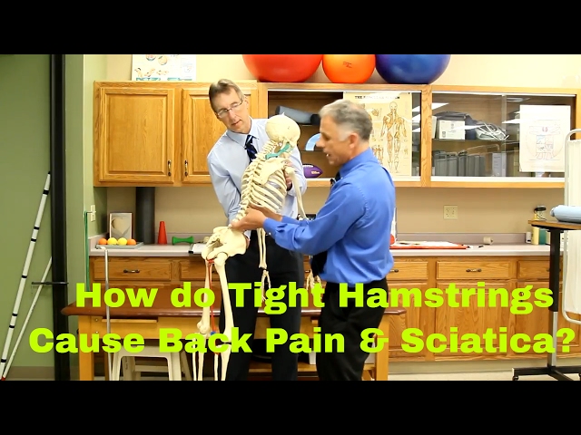 How Do Tight Hamstrings Cause Back Pain & Sciatica? How to Stretch.