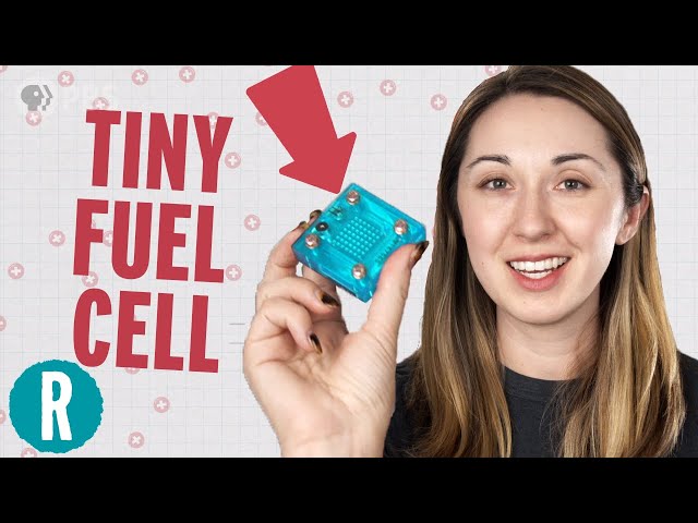 How Do Hydrogen Fuel Cells Work?