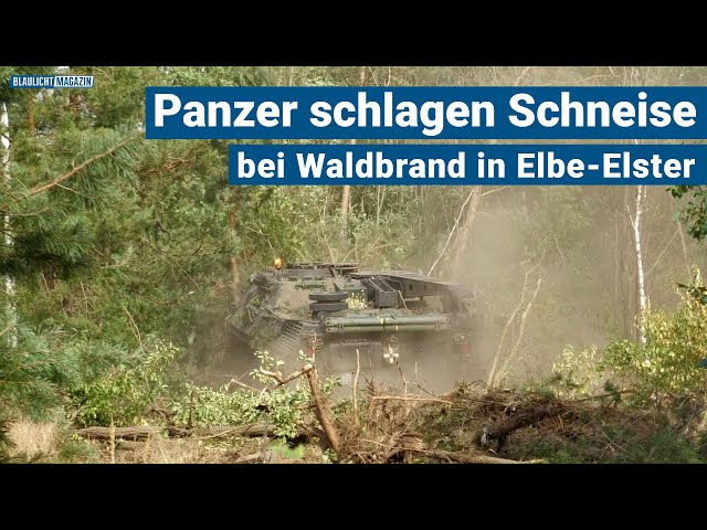 Bundeswehr-Panzer schlägt Schneise bei Waldbrand in Elbe-Elster