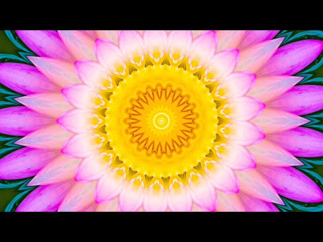 Splendor of Flowers Kaleidoscope Video Beta v3 with TITLES and VALUES - A Worldwide Banking Jubilee