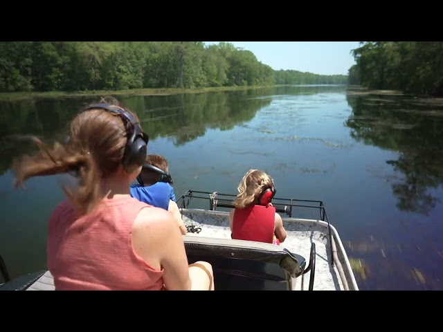 Your Family's Gotta Try This: Airboating the Wacissa River