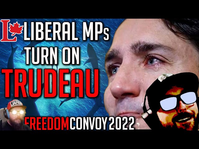 Liberal MPs are Turning on Justin Trudeau - Freedom Convoy 2022