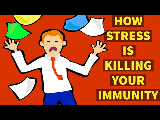 HOW MENTAL STRESS ON IMMUNITY- Effect of stress on immune system.