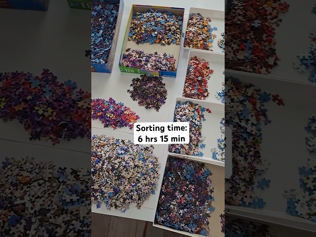 The sorting never ends 😭 Day 2 of the 9000 Piece Puzzle 🧩