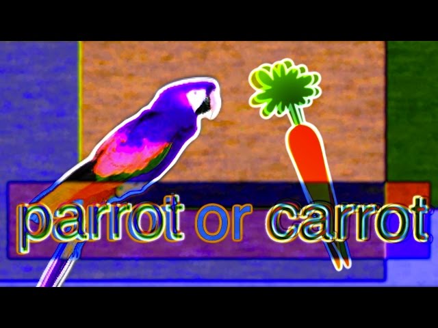 parrot or carrot