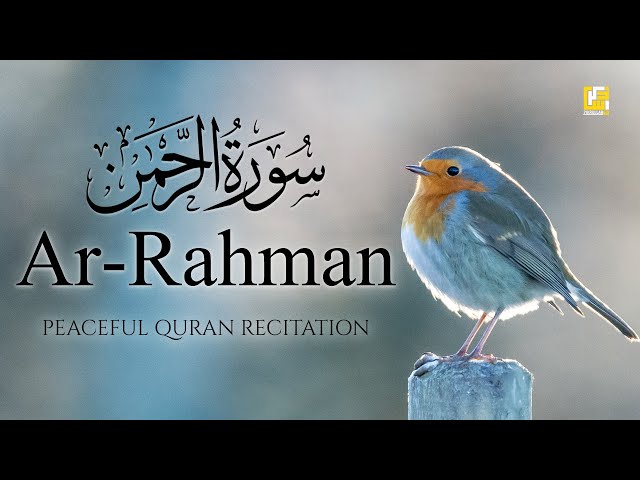 Surah Ar-Rahman سورة الرحمن | This Voice will TOUCH your HEART إن شاء الله | Zikrullah TV