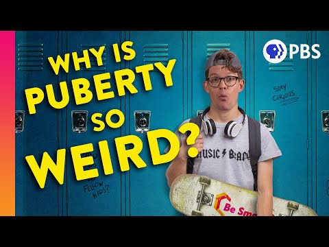 Why is Puberty so Weird?