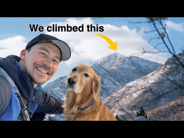 Solo Winter hiking one of Salt Lake City's iconic trails with my golden retriever