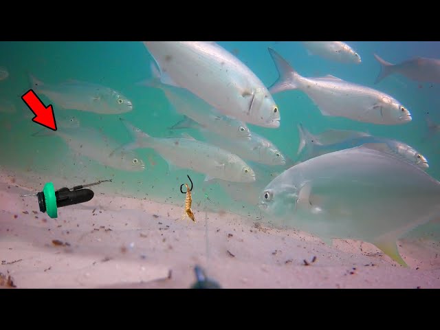 Attached an Underwater Camera to my Fishing Line (How Fish React)