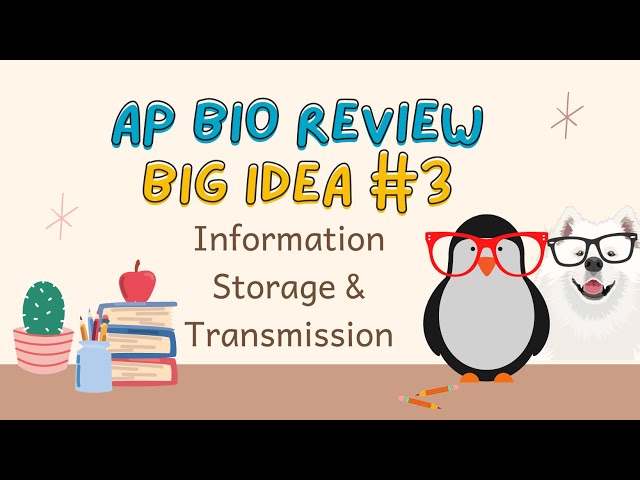 AP Bio Big Idea 3 (Information Storage & Transmission)