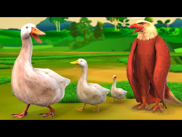 चतुर बत्तख और लालची ईगल पक्षी - Greedy Eagle and Clever Duck Story 3D Animated Hindi Moral Stories