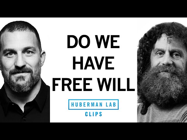 Do We Have Free Will? | Robert Sapolsky & Andrew Huberman
