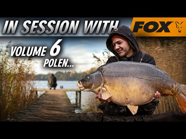In Session with Fox Volume  | Polen 🇵🇱🐋