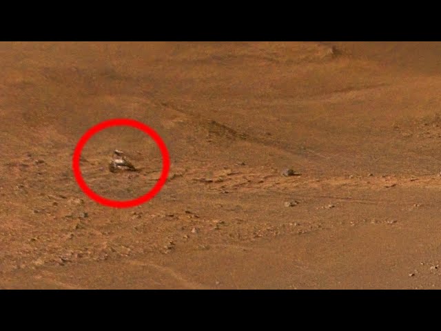Ingenuity spotted Rover during 51th flight on Mars