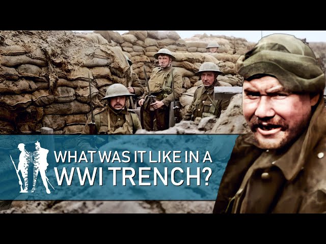 24 Hrs In The Trenches (WW1 Documentary)