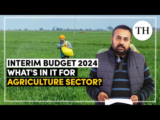 Interim Budget 2024 | What's in it for agriculture sector? | The Hindu