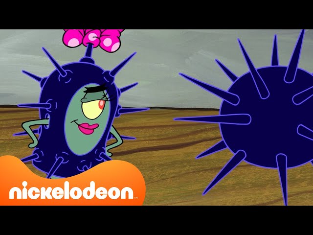 SpongeBob | Die Krosse Krabbe wird von SEEIGELN eingenommen 😱 | Nickelodeon Deutschland