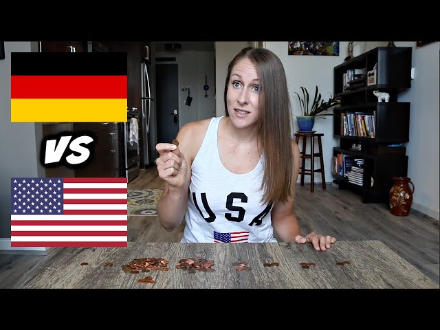 German Tax Euro Questions American Tax Dollar’s Priorities