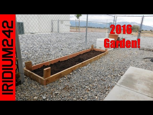 The 2016 Survival Garden!