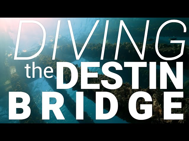 SCUBA DIVING THE DESTIN BRIDGE- ShaneOgoeS deep