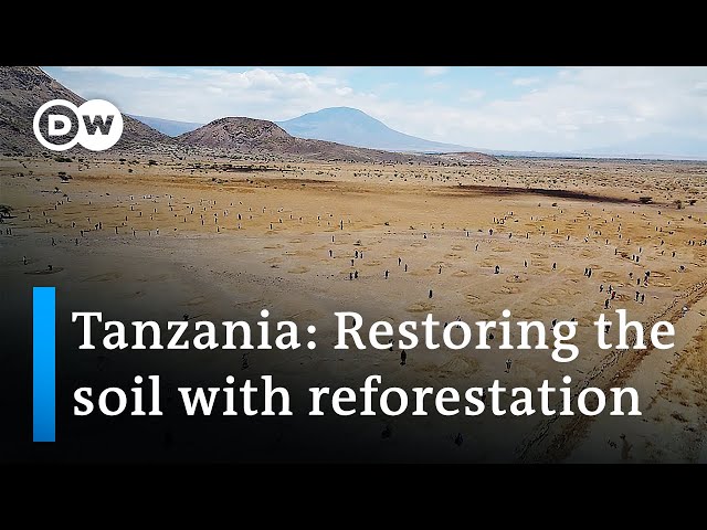 Justdiggit: Restoring dry land in Tanzania | Global Ideas