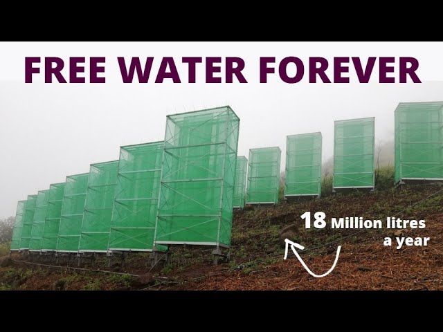 How Spain is Making Abundant Water in the Desert