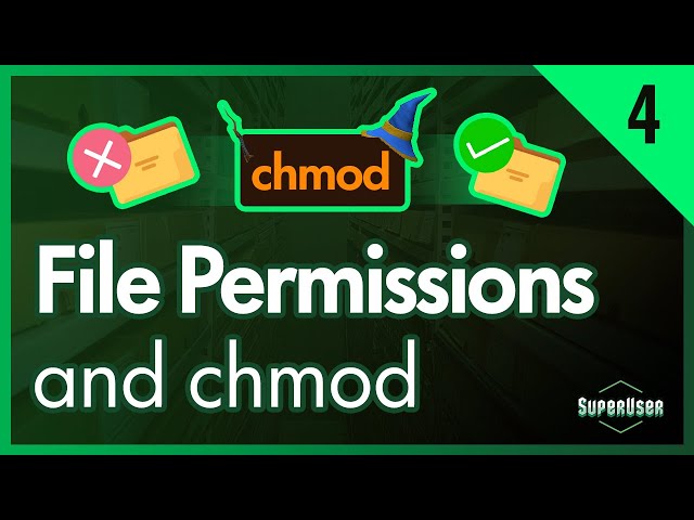 Linux for Programmers #4 | chmod and File Permissions