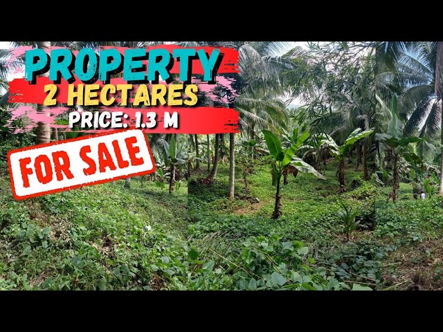 #19 Lopez Quezon Prov. Lot for Sale 2 hectares | property for sale