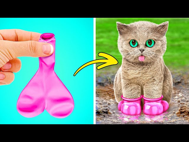 Boots For My Kitten 😻*The Most Viral Gadgets In The Pet World*
