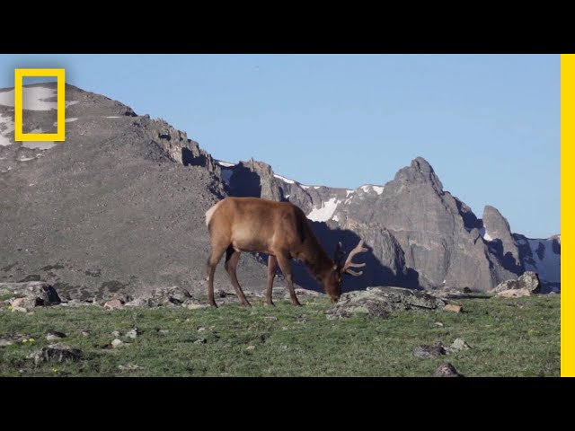 What Are Tundras? | National Geographic