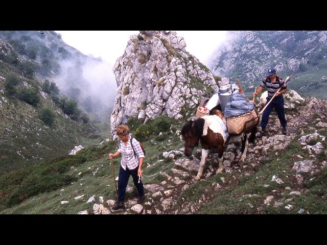 The life of the shepherds of the Picos de Europa and  cheese of Gamoneu | Lost Trades | Documentary