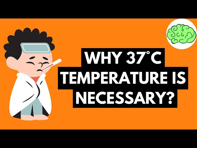 Why our normal body temperature is 37 °C? ( हमारे शरीर का सामान्य तापमान 37 °C क्यों है? )