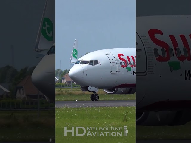 VERY WINDY Transavia Boeing 737 Landing at Amsterdam Schiphol Airport #shorts