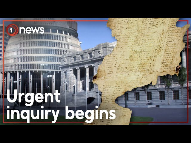 ACT Party proposes new Treaty of Waitangi definitions | 1News