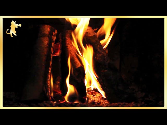 A calming close-up of burning logs ~ gentle crackling fire sounds (no music)