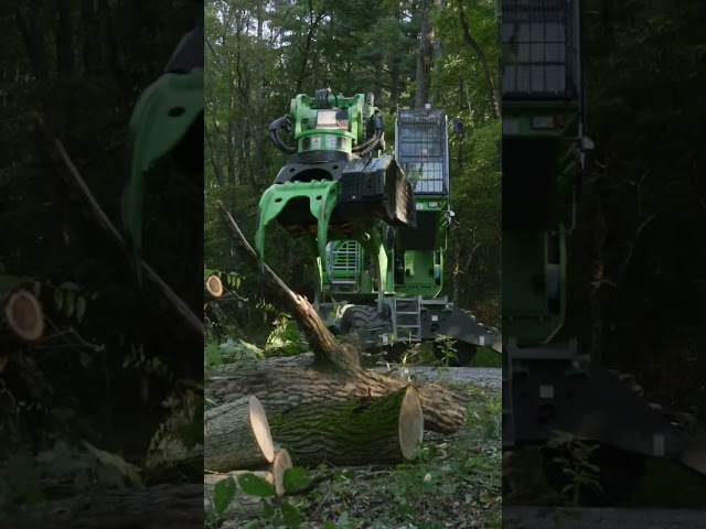 Powerline Clearing I Sennebogen 718 E and Bandit 20XP Track Chipper! 🌳 #treework #forestry #shorts
