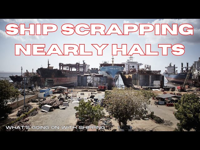 Port of Baltimore Update April 7, 2024 | Ship Scrapping Nearly Halts
